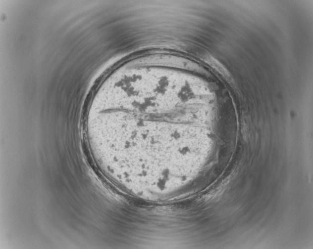 X0000061741028200512302206