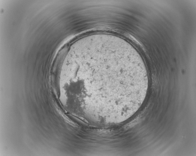 X0000061741029200512302206