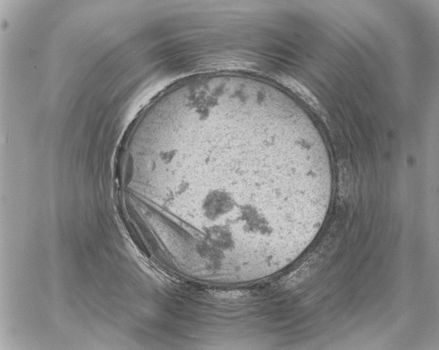 X0000061741031200512302206