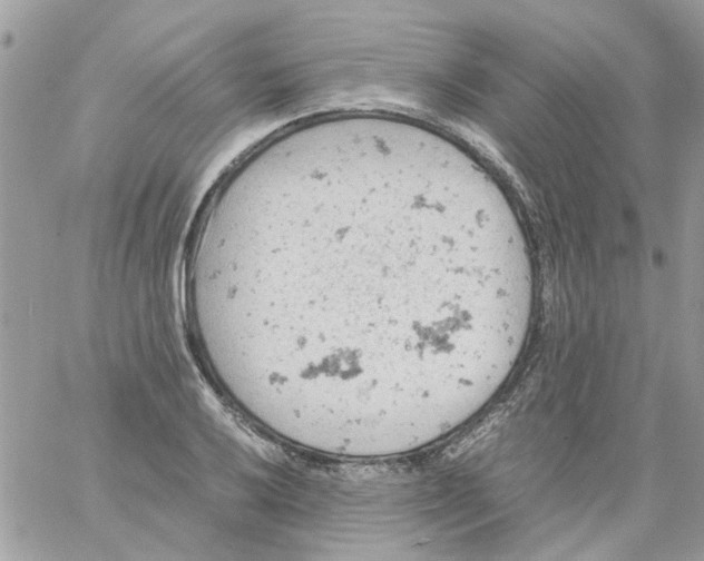 X0000061741032200512302206