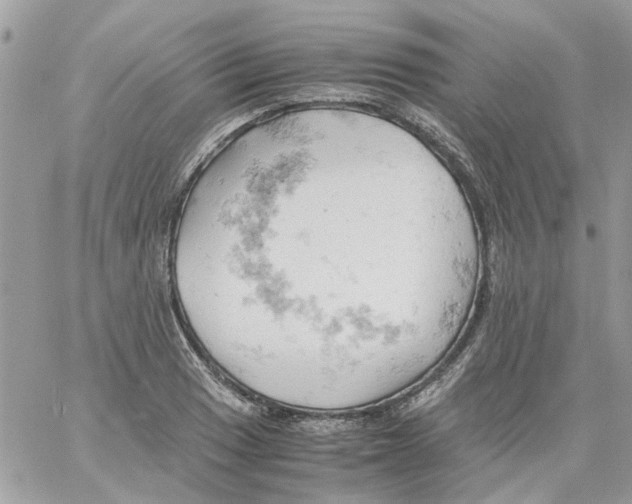 X0000061741033200512302206