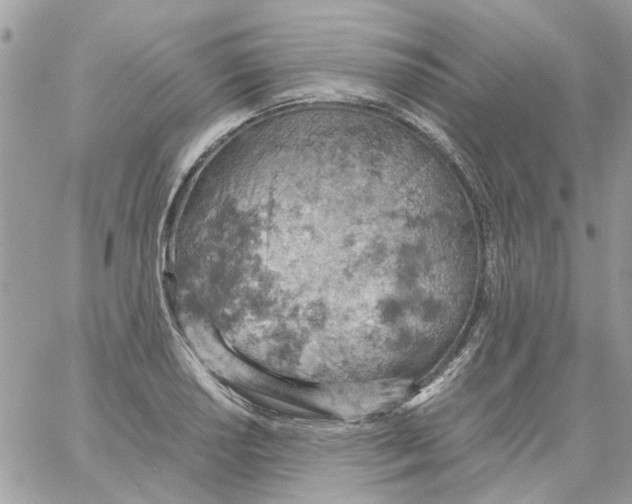 X0000061741034200512302206