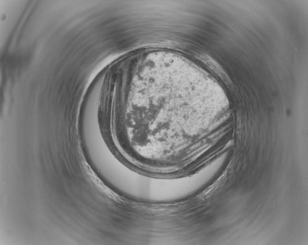 X0000061741036200512302206