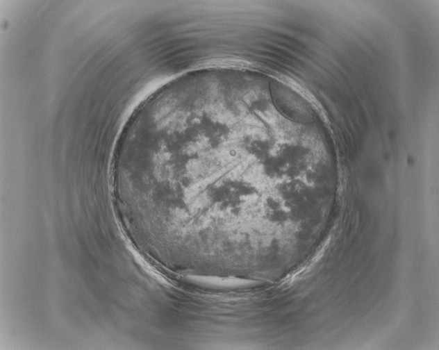 X0000061741037200512302206