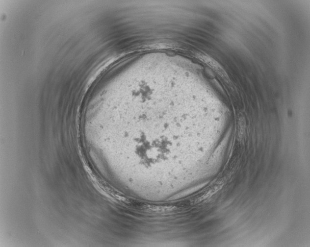 X0000061741039200512302206