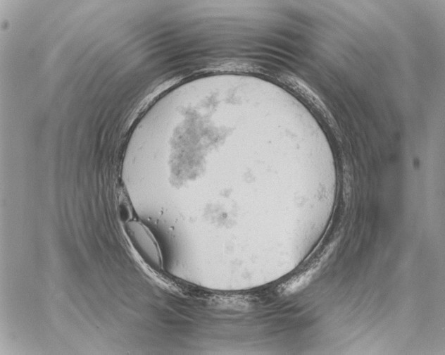 X0000061741041200512302206