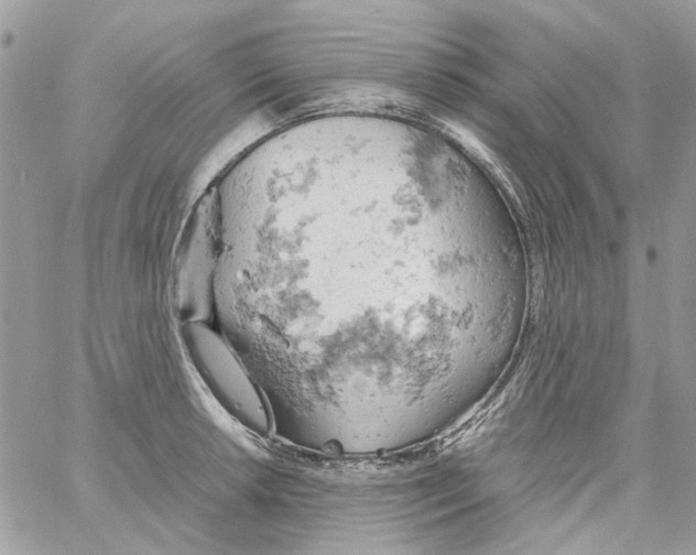 X0000061741042200512302206