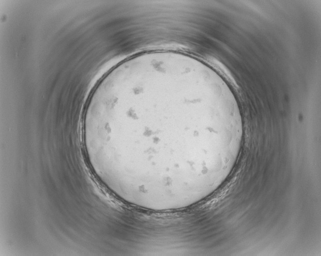 X0000061741044200512302206