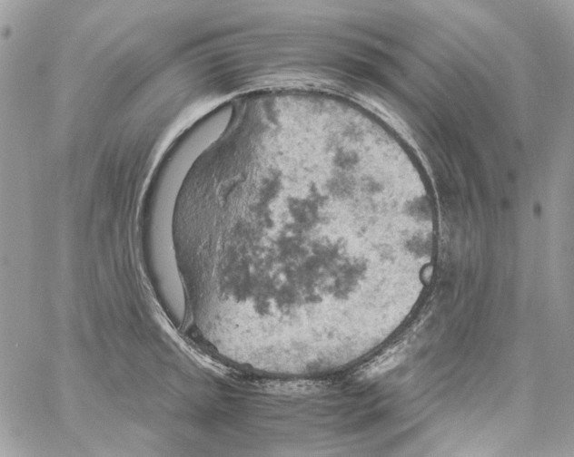 X0000061741045200512302206