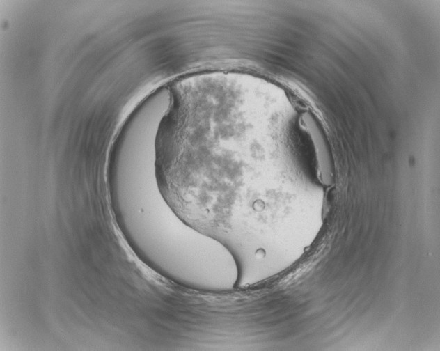 X0000061741046200512302206