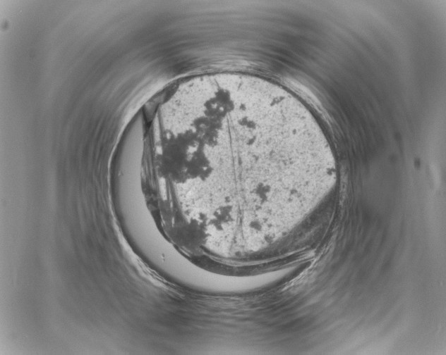 X0000061741047200512302206