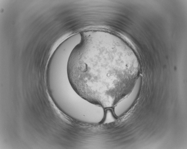 X0000061741050200512302206