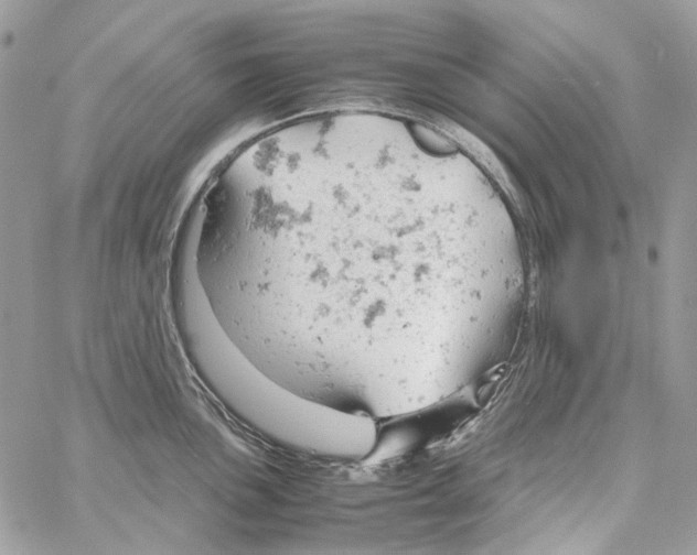 X0000061741051200512302206