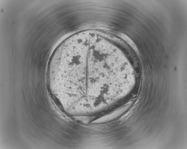 X0000061741052200512302206