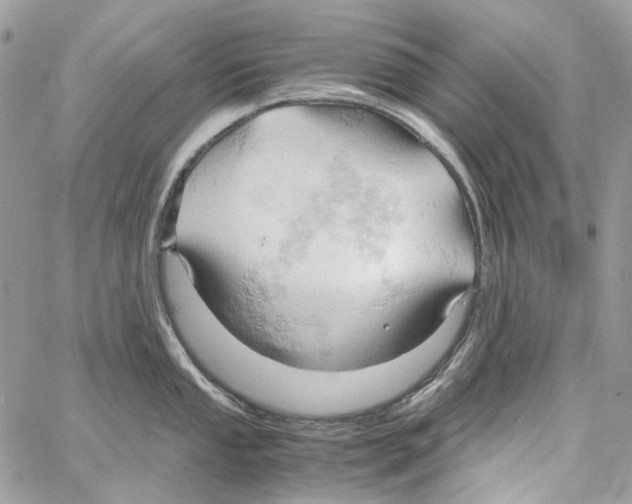 X0000061741053200512302206