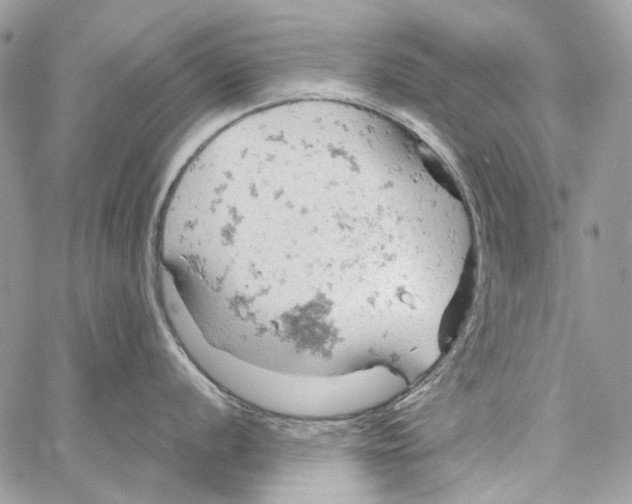 X0000061741056200512302206