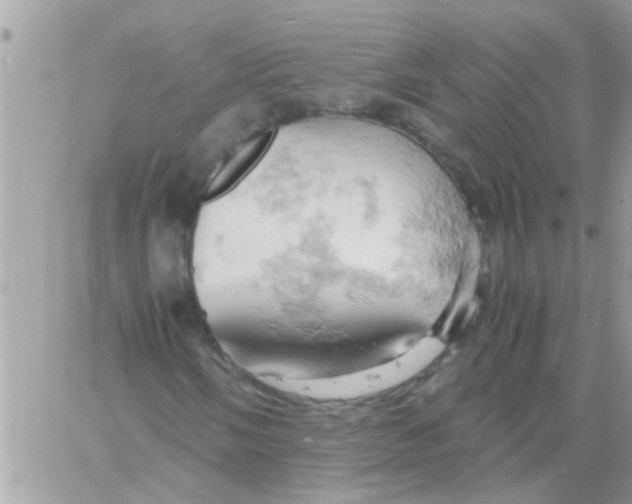 X0000061741058200512302206