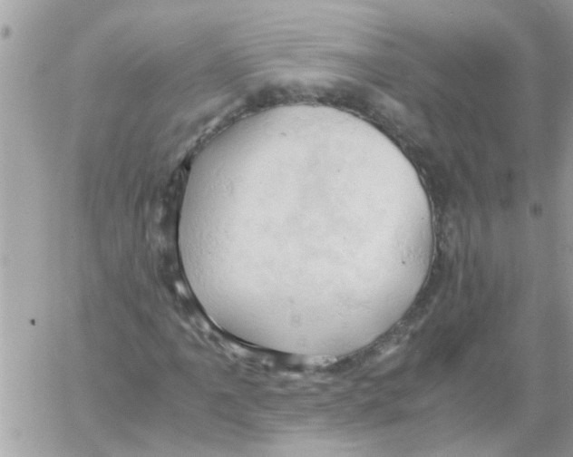 X0000061741061200512302206