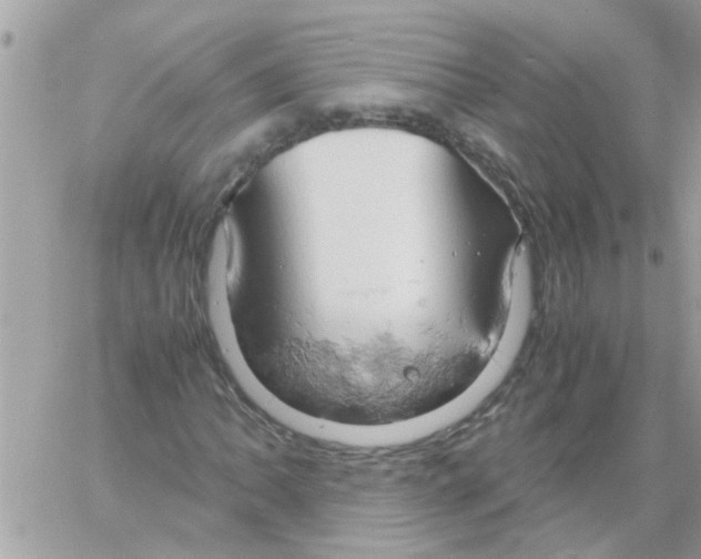 X0000061741062200512302206