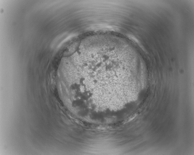 X0000061741063200512302206