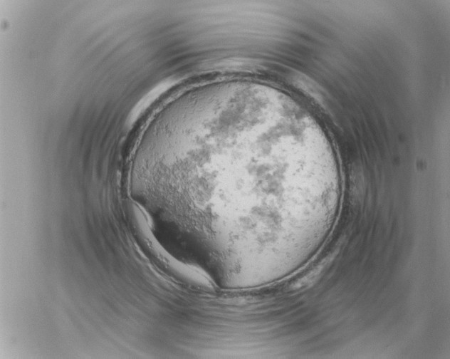 X0000061741066200512302206