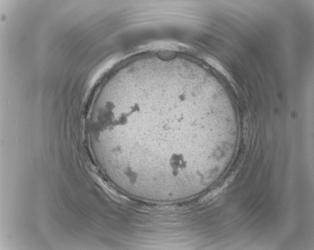 X0000061741067200512302205