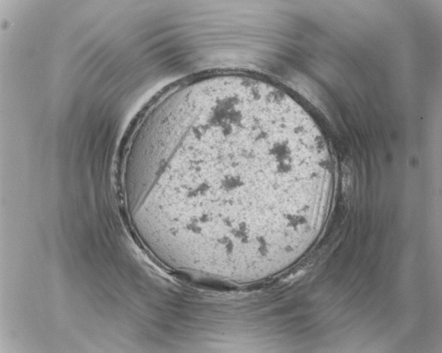 X0000061741068200512302205