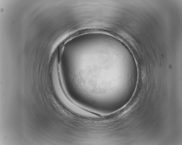 X0000061741069200512302205