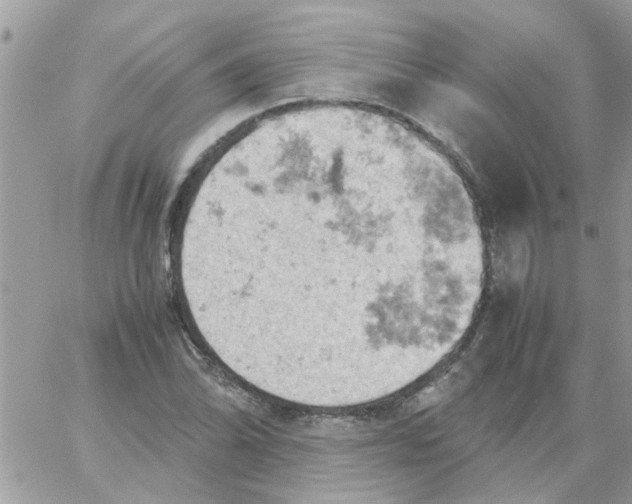 X0000061741070200512302205