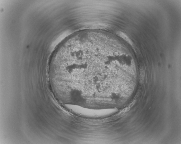 X0000061741071200512302205