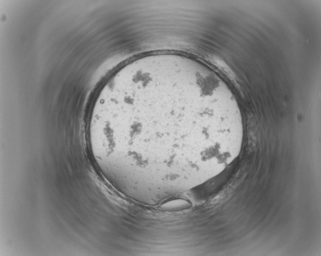 X0000061741072200512302205