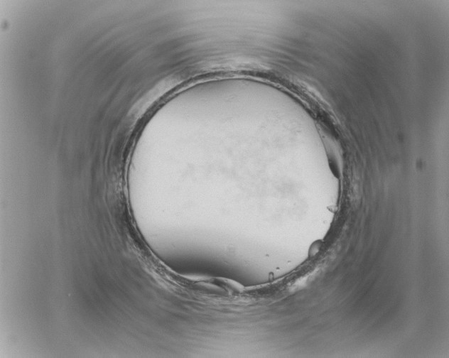 X0000061741073200512302205