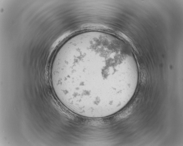 X0000061741074200512302205