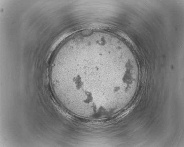 X0000061741075200512302205