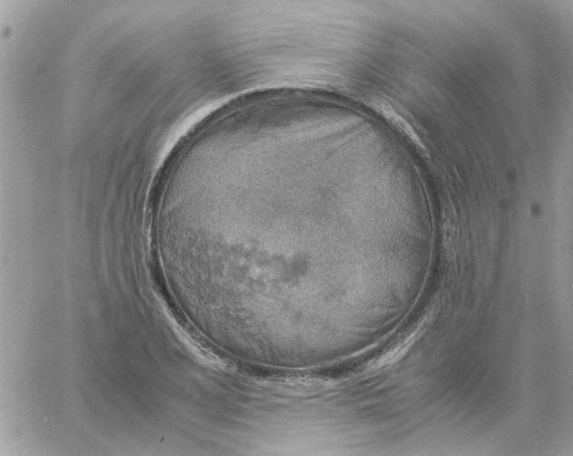 X0000061741077200512302205