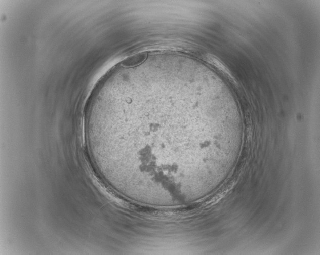 X0000061741079200512302205