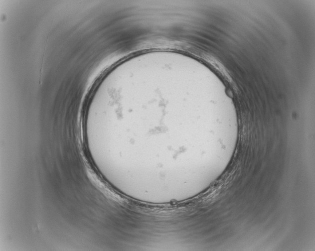 X0000061741080200512302205