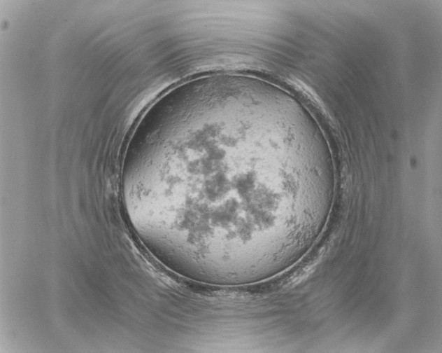 X0000061741081200512302205