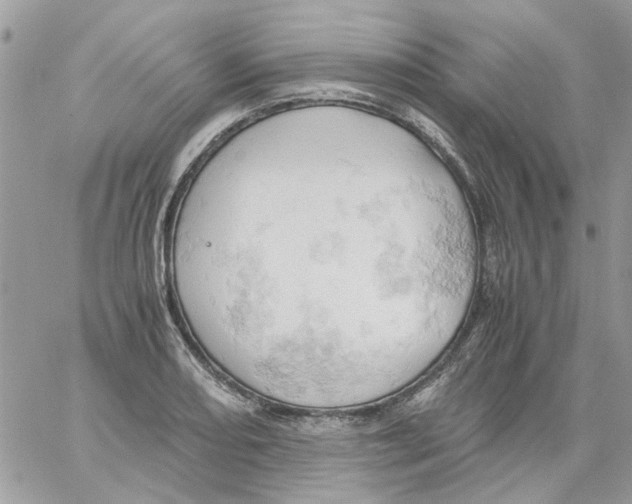 X0000061741082200512302205