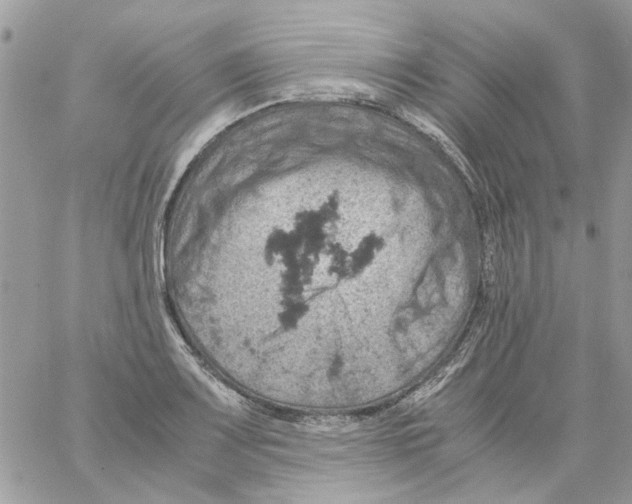 X0000061741083200512302205