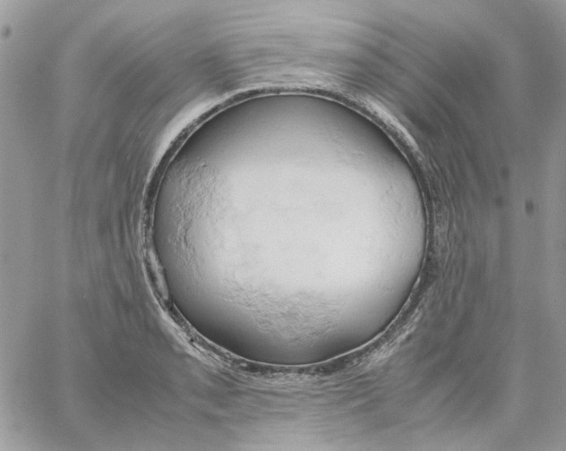 X0000061741085200512302205