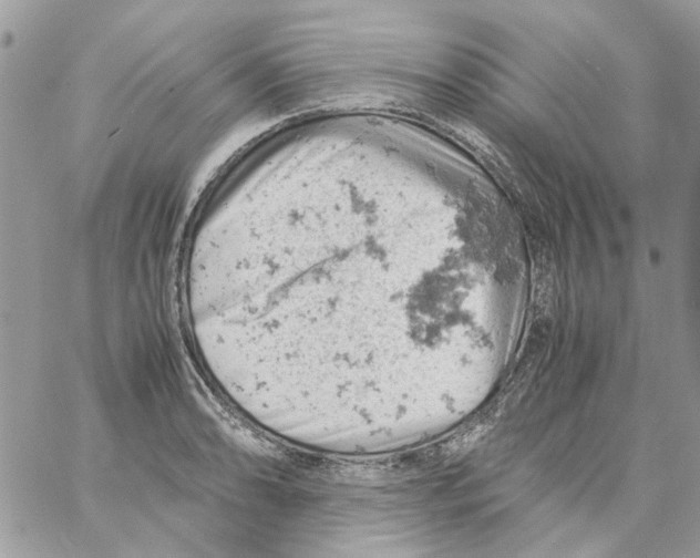 X0000061741086200512302205