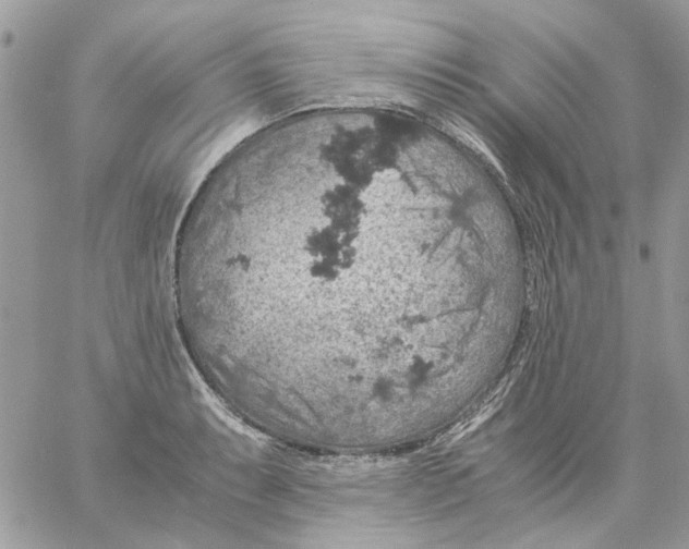 X0000061741087200512302205