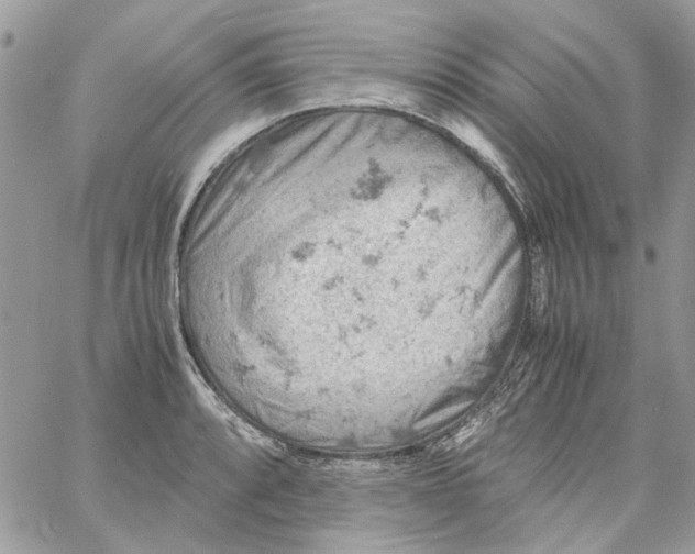 X0000061741088200512302205