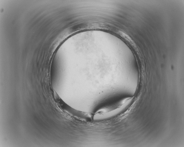 X0000061741089200512302205