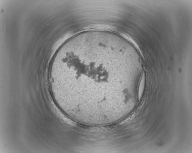 X0000061741091200512302205