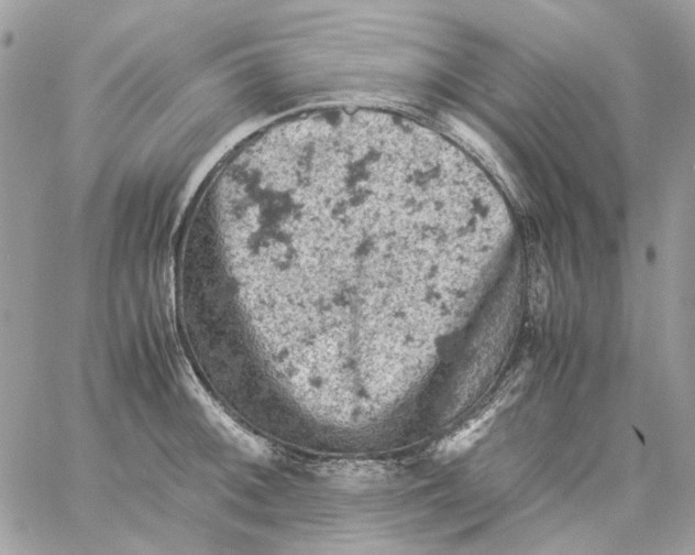 X0000061741092200512302205