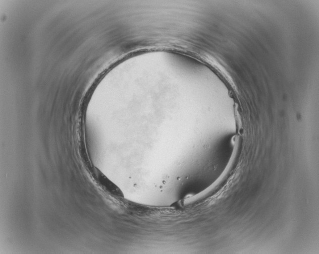 X0000061741093200512302205