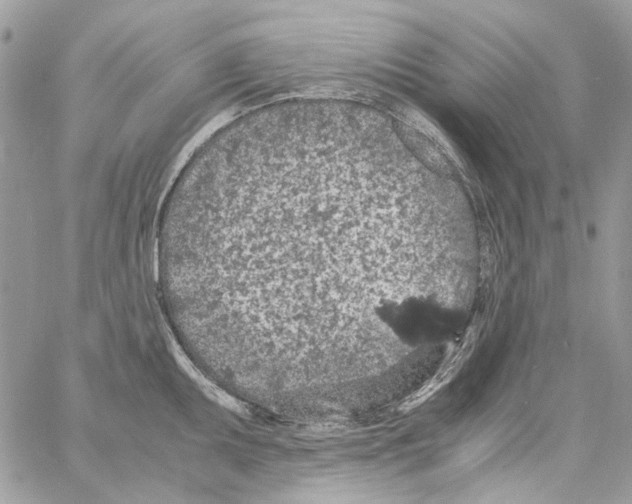 X0000061741095200512302205