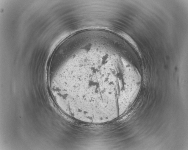 X0000061741096200512302205